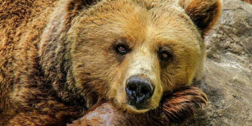 После бегства уклонистов от частичной мобилизации…