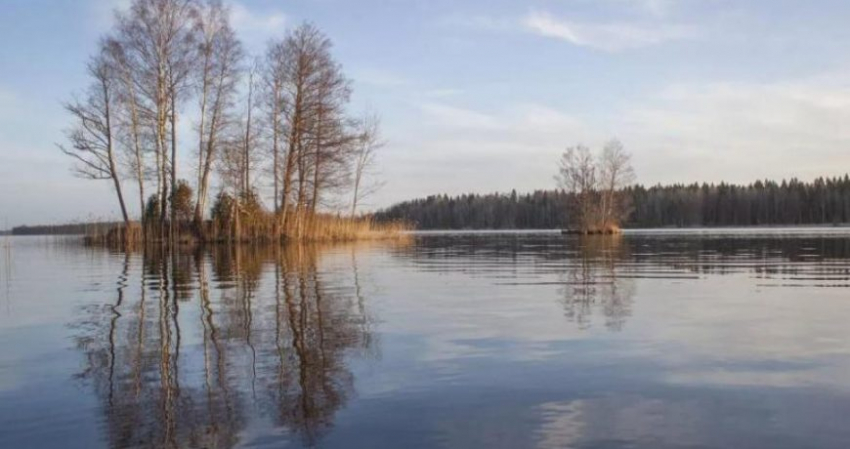 Какой праздник отмечается сегодня, 22 апреля