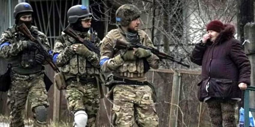 Мир замер в шоке: украинская журналистка резанула правду про киевский режим