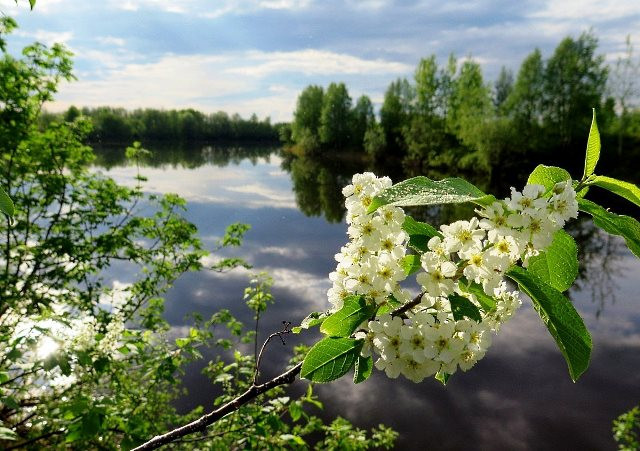 Приметы 1 мая 2023 года имеют свои традиции и поверья
