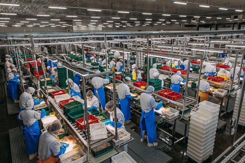 Экологично и безопасно: журналисты проверили “Русский минтай” после жалоб на зловония