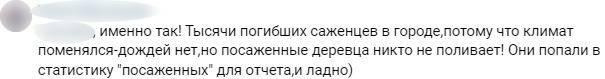 Статистика для отчета: петербуржцы раскритиковали «пиар-акцию» Смольного по высадке деревьев