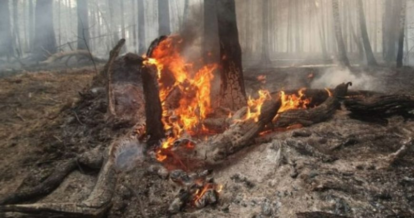 Ситуация с пожарами в Свердловской и Курганской областях на сегодня, 8 мая 2023 года, что там сейчас происходит