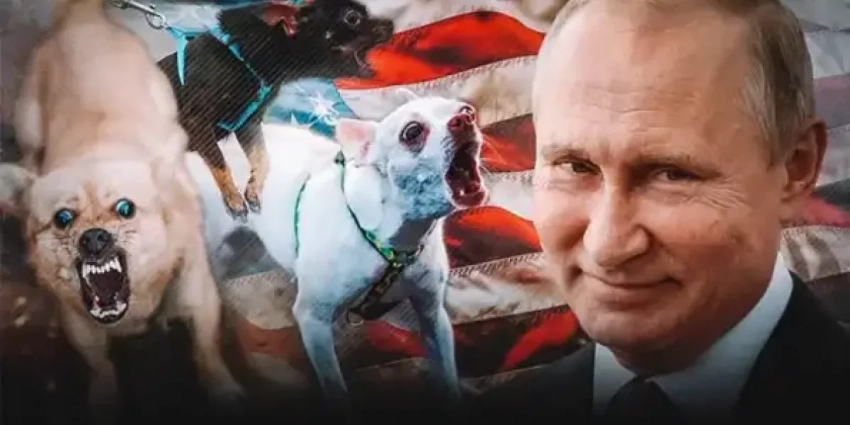 «Пусть умоляют»: стало известно, что Путин сделает с зарвавшейся Прибалтикой