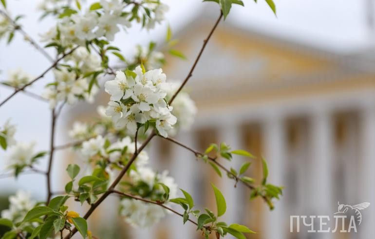 Алексей Текслер поздравил южноуральцев с Днём России