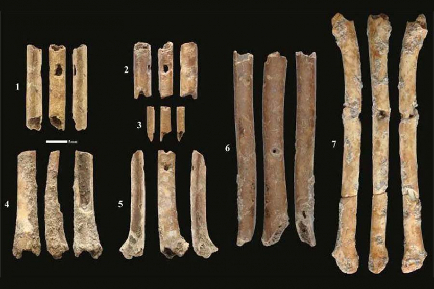 В Израиле обнаружены костяные флейты возрастом 12 000 лет, имитирующие звуки хищных птиц