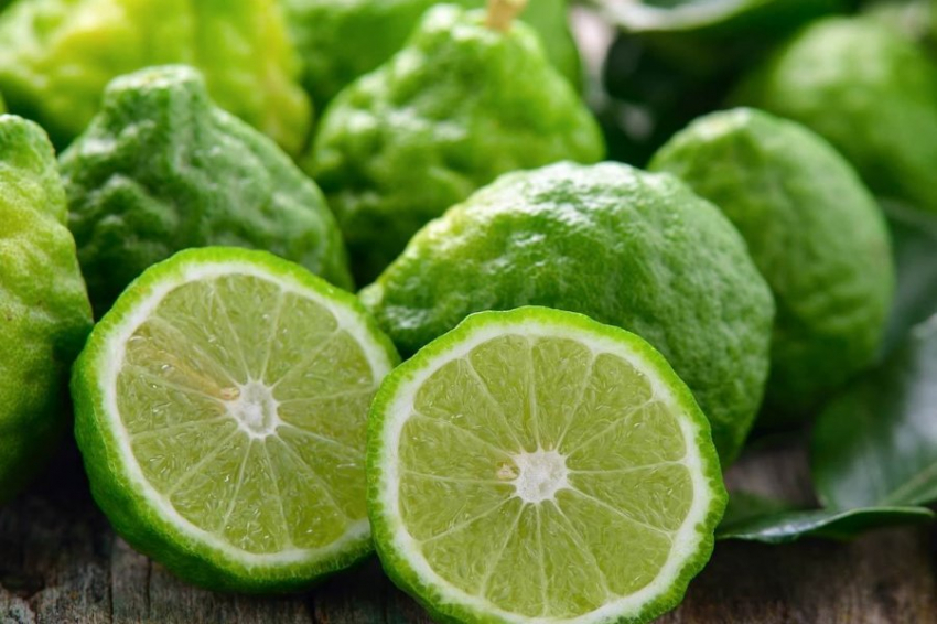 Plants: Ученые нашли продукт, защищающий клетки мозга от гибели