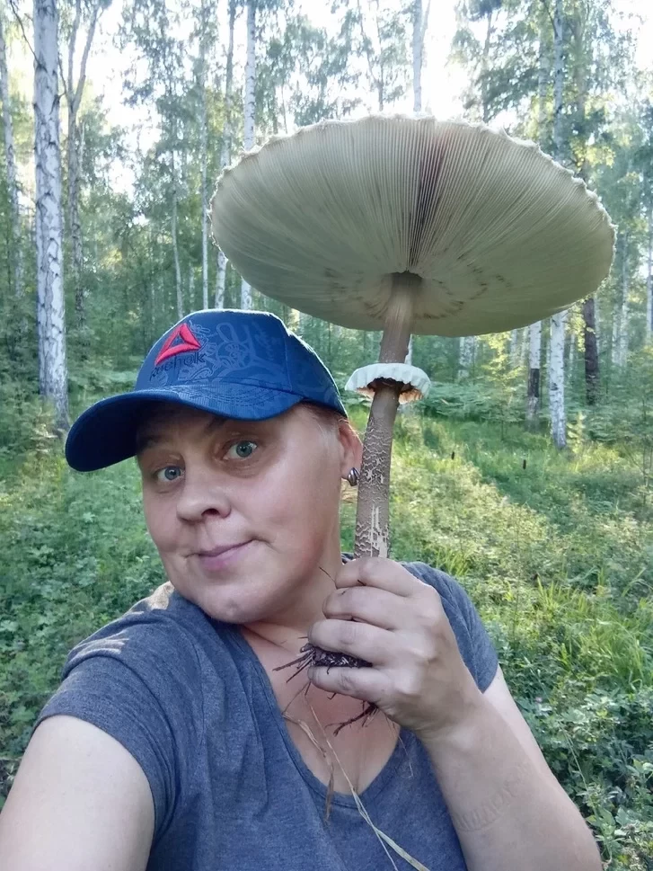 Жительница Екатеринбурга нашла гигантские грибы, как зонт