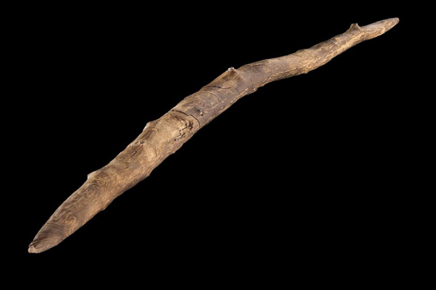 PLOS ONE: ранние люди были экспертами по оружию из дерева