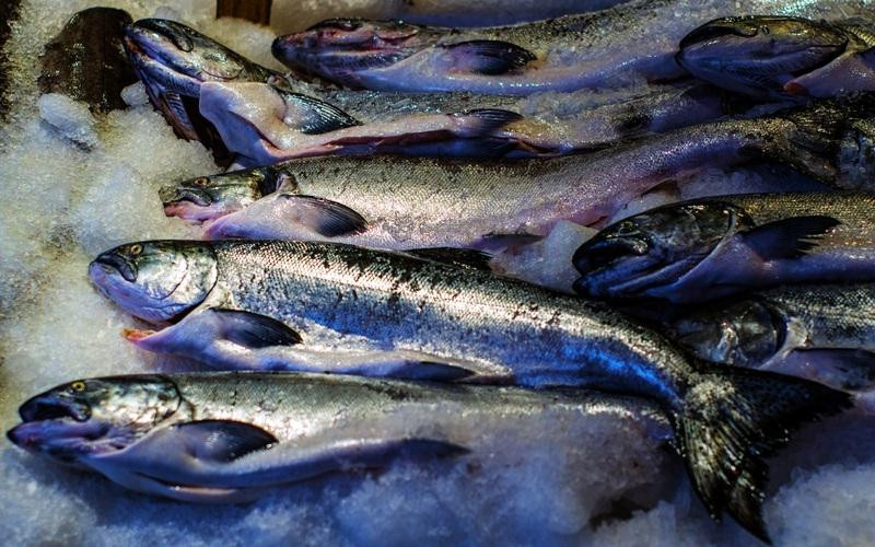 В России на 5,5% выросло производство рыбной продукции