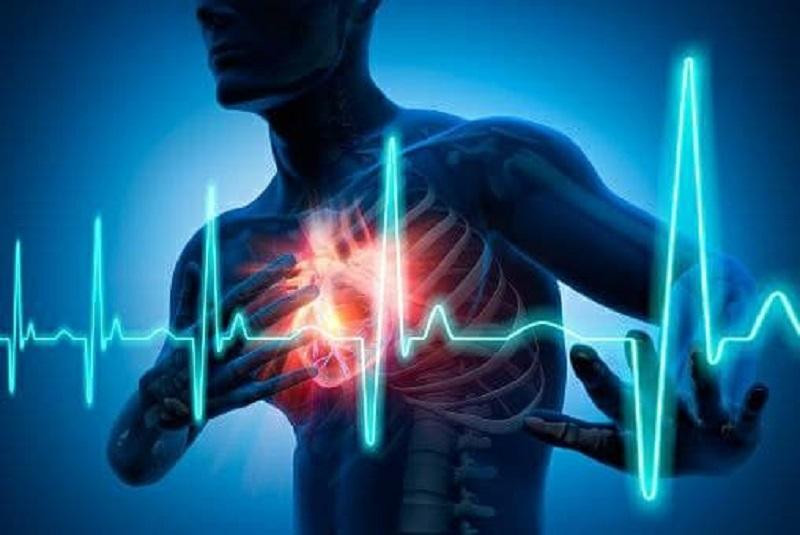 Nature Communications: Учёные из Испании нашли способ точного обнаружения нарушения сердечного ритма