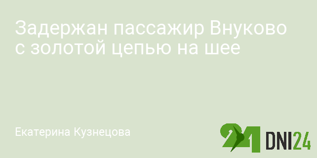 Задержан пассажир Внуково с золотой цепью на шее