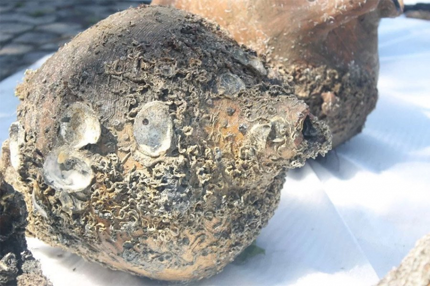 В Турции обнаружили затонувший 1700-летний корабль