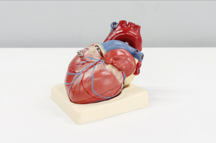 BMJ: некоторые пищевые добавки увеличивают риск развития заболеваний сердца