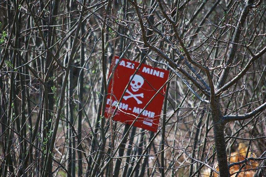 РИА Новости: боевики ВСУ отправили на минное поле пленных российских солдат