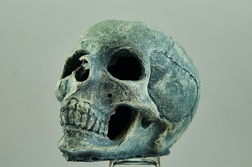 Тайна окружает ископаемые останки Homo возрастом 300 000 лет