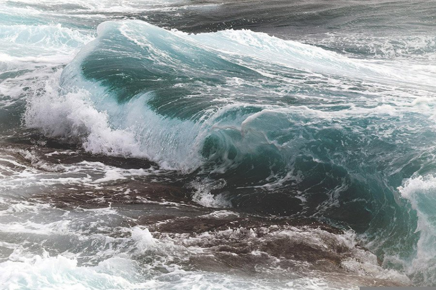 Закисление океана делает экологически важные виды морских водорослей хрупкими