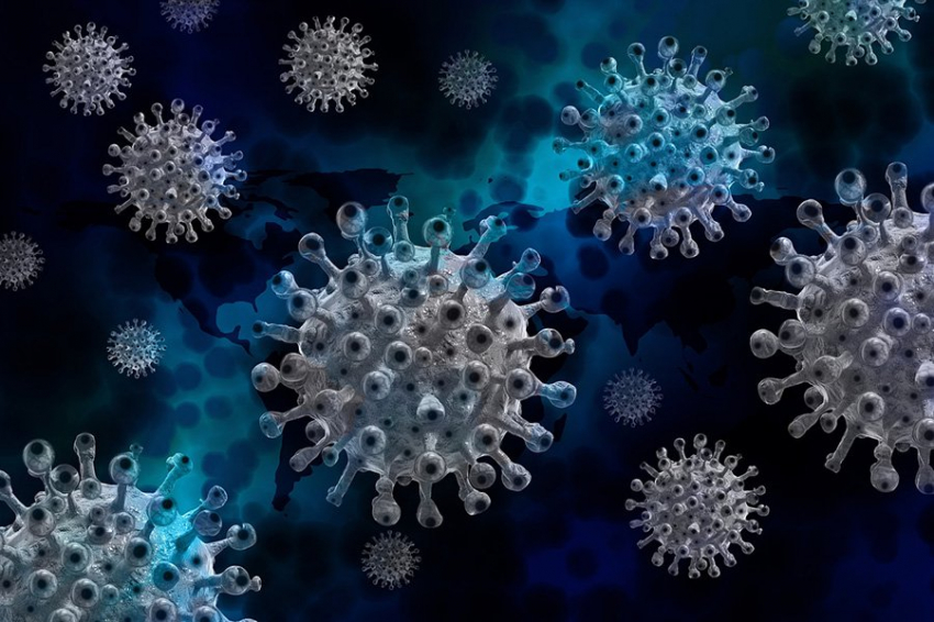 Nature: мутантные штаммы COVID-19 могли появиться в ответ на поведение человека