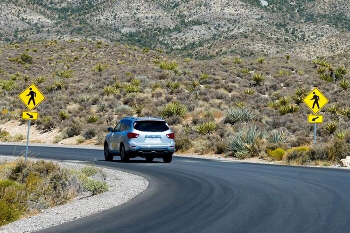 Найдены 5 кроссоверов, которые будут «на ходу» даже через 15 лет