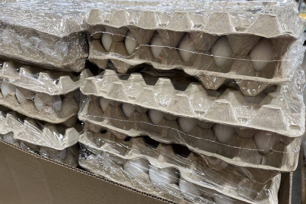 Россияне нашли в продаже яйца с уже созревшими цыплятами