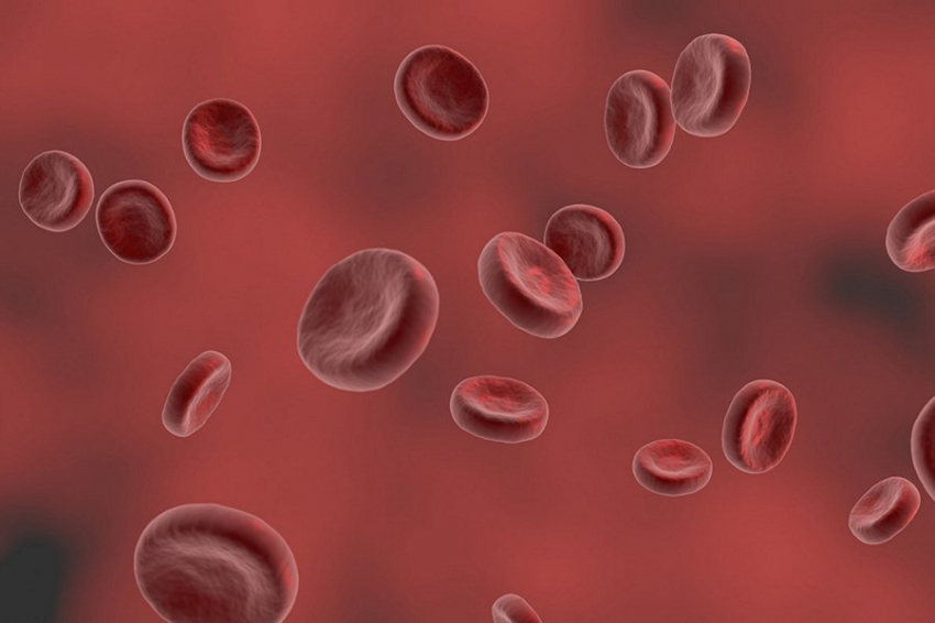 Haematologica: лечение гепатита может предотвратить развитие рака крови