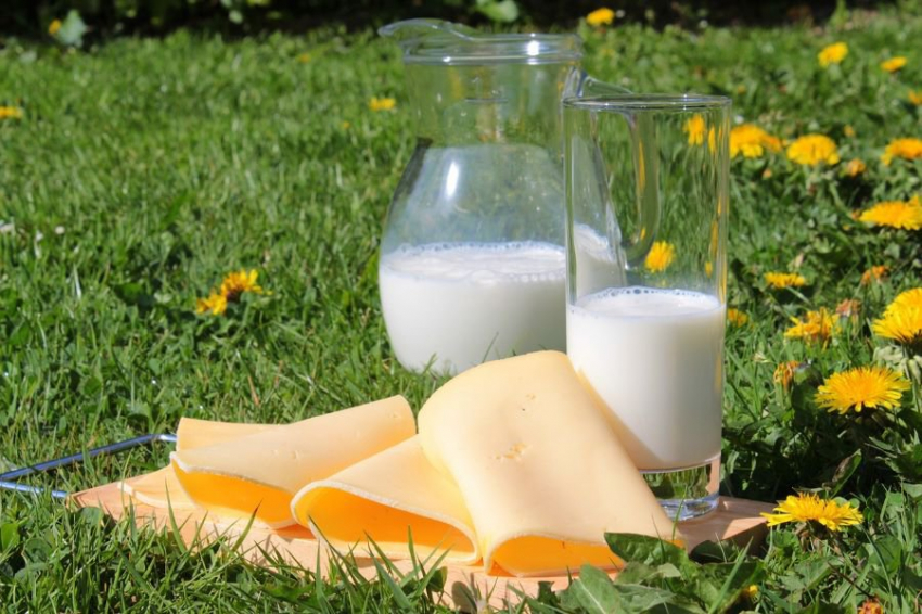 Специалисты назвали продукты для здоровых и крепких костей