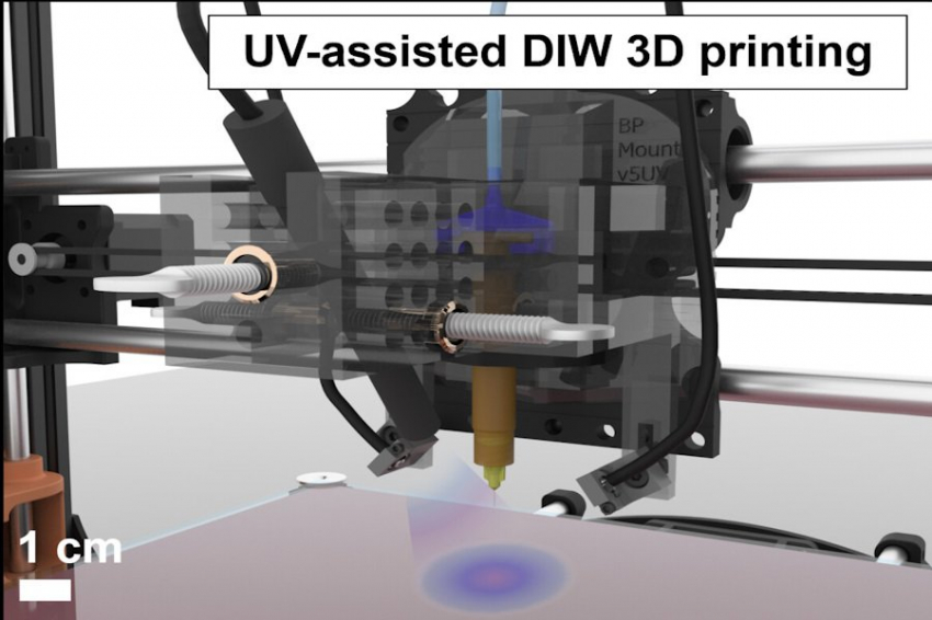 PNAS: чернила для трехмерной печати стали разноцветным за счет ультрафиолета