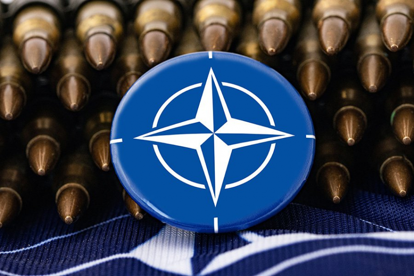 Глава МИД Польши считает вероятным направление войск НАТО на Украину