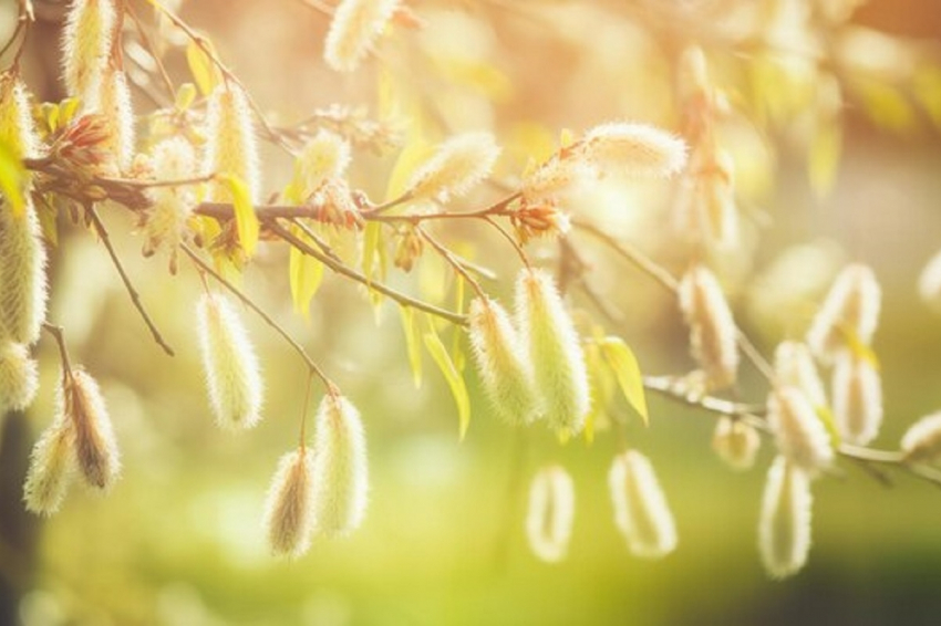 «Начнется 9 апреля и будет длиться неделю». Синоптики дали неожиданный прогноз