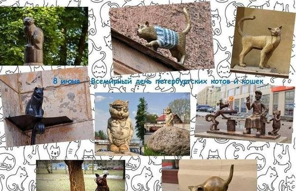 Всемирный день петербургских котов и кошек отмечают в России 8 июня 2024 года