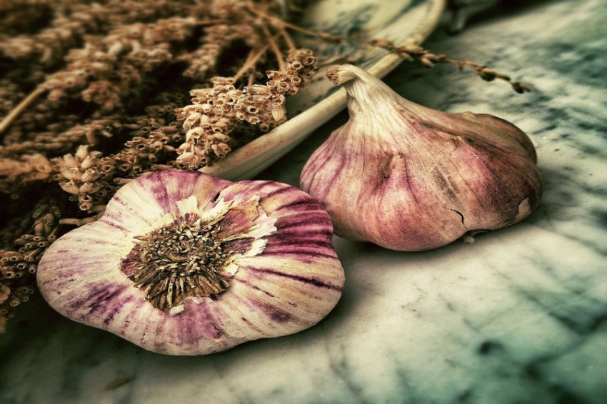 Nutrients: чеснок способен заметно снижать уровень сахара в крови