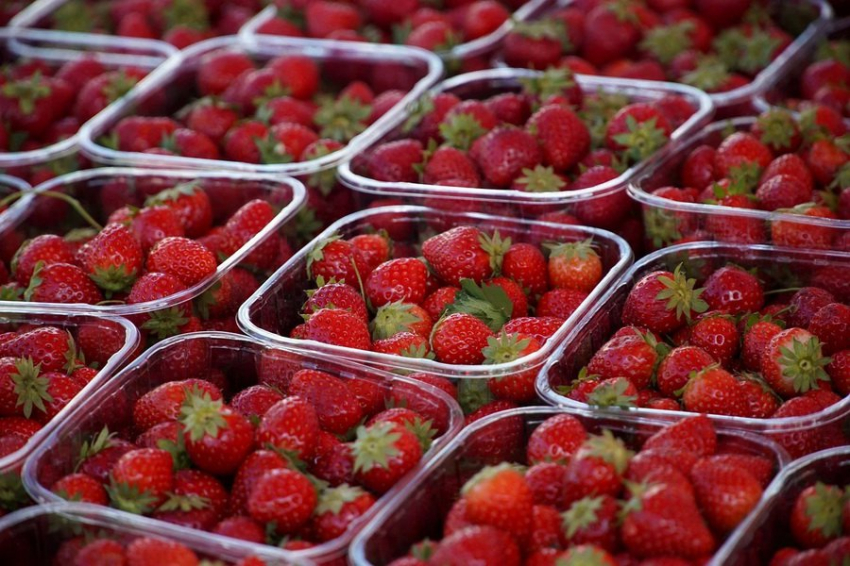 Эксперты назвали продукты, которые нельзя хранить в пластиковых контейнерах