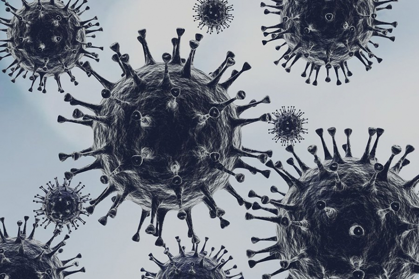 Nature Microbiology: мутации шипов помогают SARS-CoV-2 заражать мозг