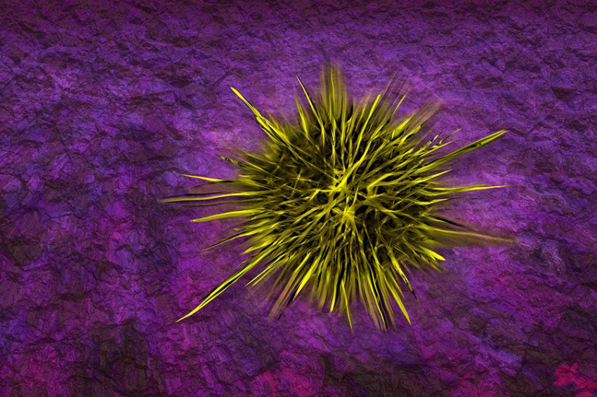 Бактерии используют «сумасшедший молекулярный механизм» для борьбы с вирусами