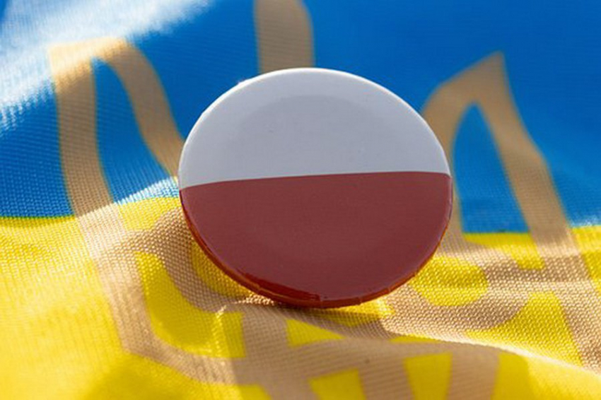 Дружба жабы с гадюкой или политика Польши по отношению к Украине
