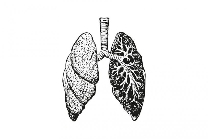 В Петербурге автоматизировали систему анализа легочных сосудов