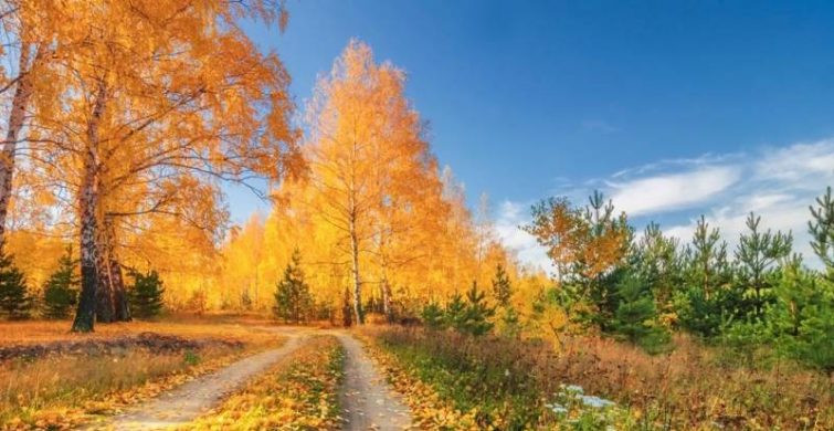 Какой сегодня церковный праздник 27 октября 2024 года: православные россияне почитают память Параскевы Сербской, в народе называемой Пятницей