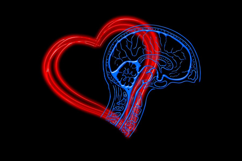 Stroke: сердечные заболевания связаны с когнитивными нарушениями