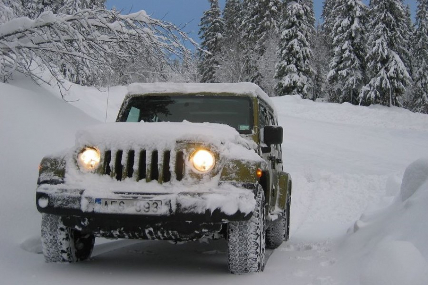 Автоэксперт Попов объяснил, когда следует переобувать свои автомобили