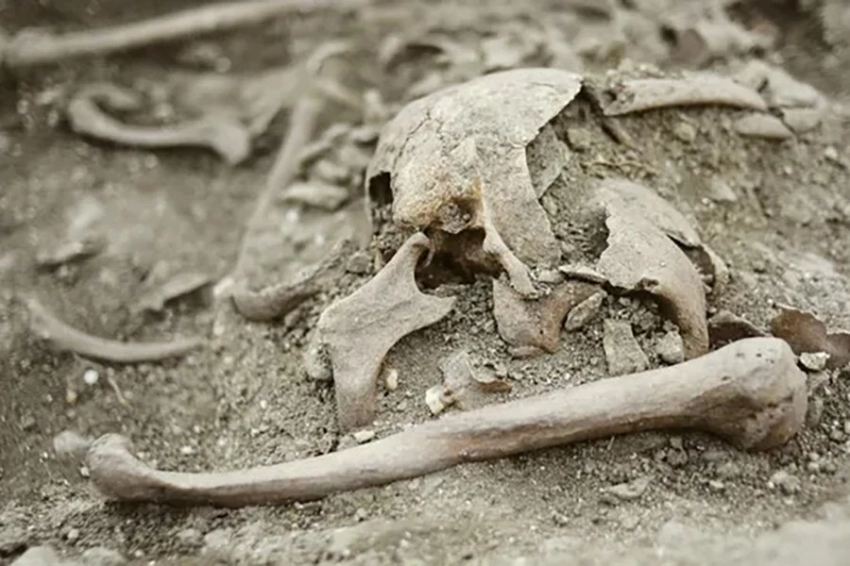 Средневековое захоронение «вампира» найдено в Хорватии 