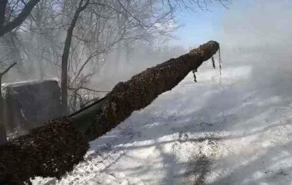 В Курской области ВС РФ ведут штурмы в районе Гуево и Гоголевки: подробности боевых действий на 24.03.2025