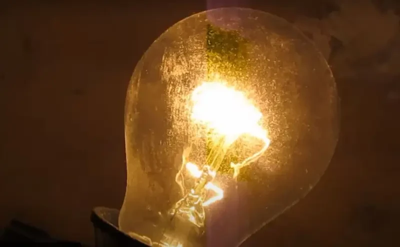 «Запутали экологи»: Нидерланды отказались ещё и от строительства крупнейшей электростанции на древесных гранулах после закрытия угольных электростанций