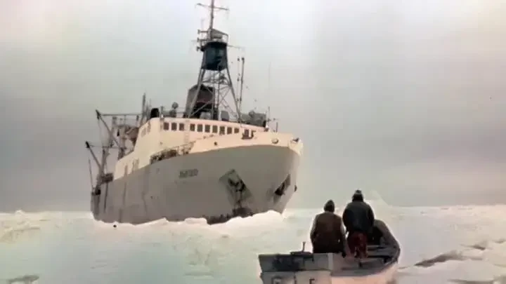 Жизнь такая, как надо!