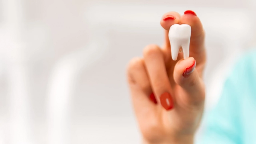 Загадочные «зубы мудрости»: почему их так называют, нужны ли они современному человеку