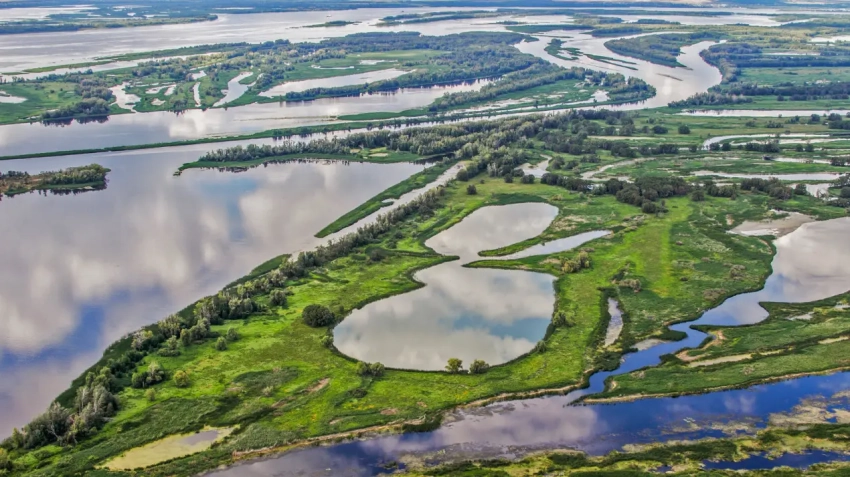 В какое море впадает русская Волга