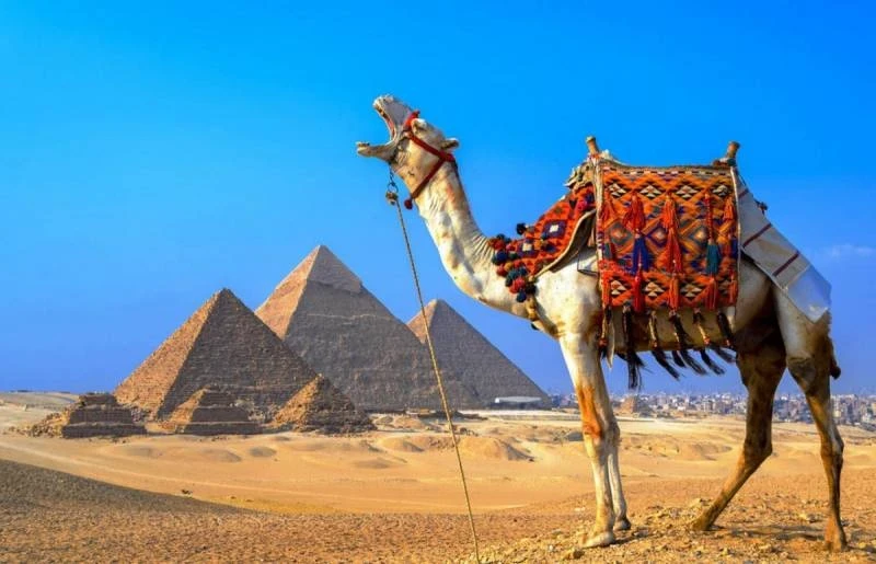 Связи нет: Смартфоны русских туристов массово блокируют при въезде в Египет