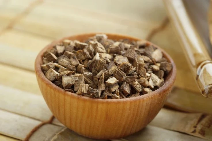 Дары природы вместо таблеток: какие целебные растения можно заготовить на зиму