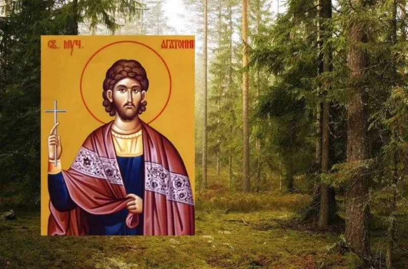 Праздник Агафон Огуменник отмечают 4 сентября, и не исключают встречи с лесным духом