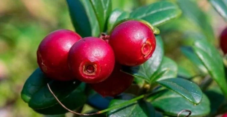 Что можно и нельзя делать в праздники 5 сентября 2025 года по старинным приметам