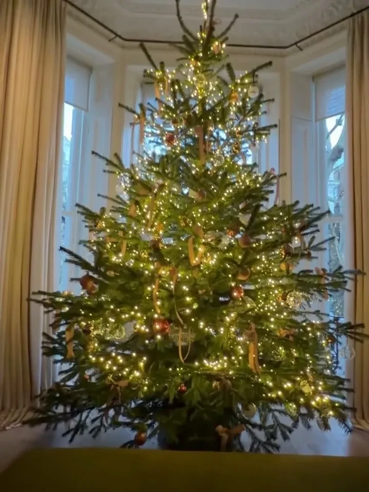 Виктория Бекхэм и Виктория Лопырева предпочли "классику", а Рената Литвинова и Виктория Шелягова "ностальгируют" по СССР. Как звёзды украшают свои ёлки